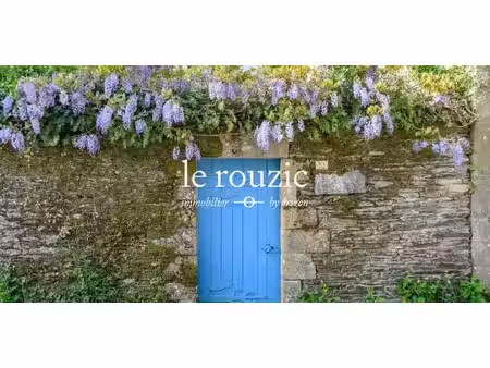 maison avec jardin et terrasse rochefort-en-terre (56)