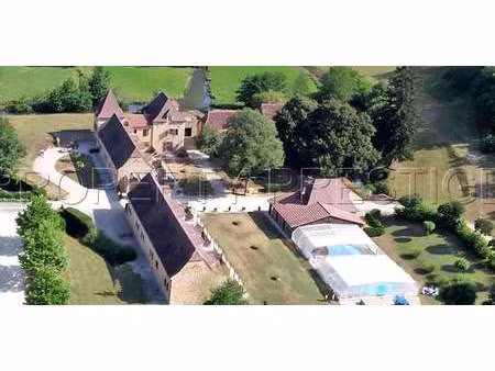 propriété saint-léon-sur-vézère (24)
