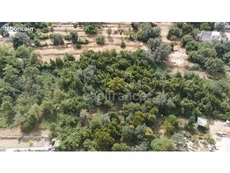 terrain 3 160 m² falicon