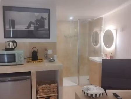 maison 1 pièce 17 m²