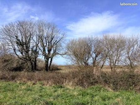 terrain de loisirs de 9540 m2