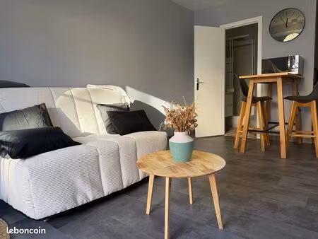 studio meublé rénové - secteur cathédrale et gare