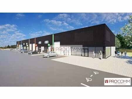 procomm antae immobilier