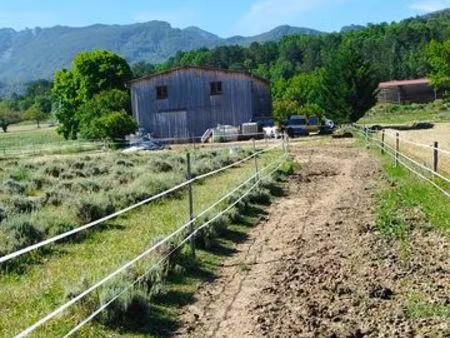 parcelle chevaux loc