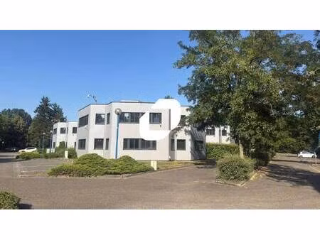 immprove strasbourg