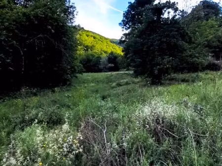 terrain constructible 4400m2