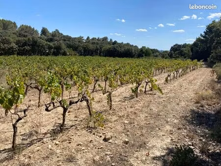 terrain 6 566 m² saint hilaire d ozilhan