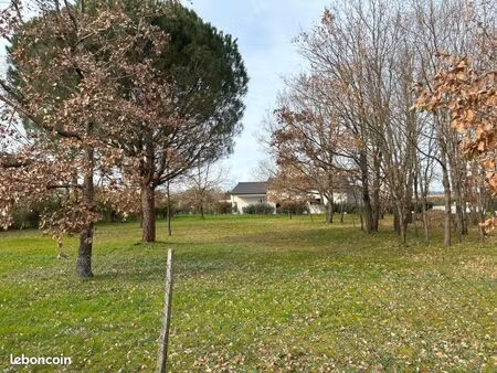 terrain 623 m² larra