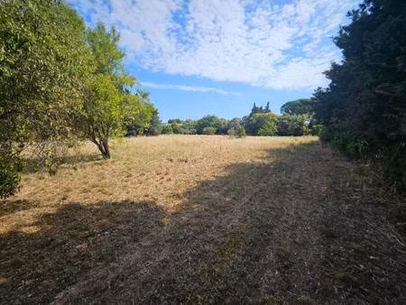 terrain constructible viabilisé à vendre