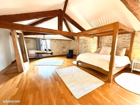 sublime appartement pierre apparente 100m2