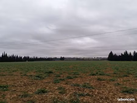 terre agricole