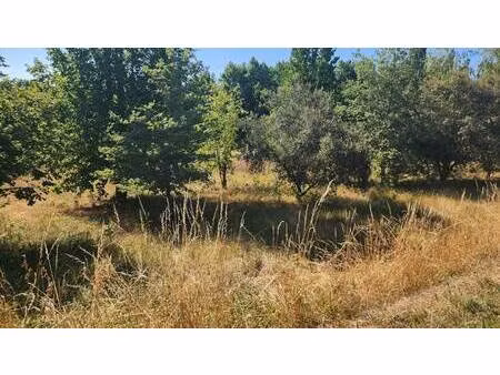 terrain constructible à vendre