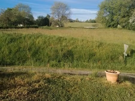 terrain constructible