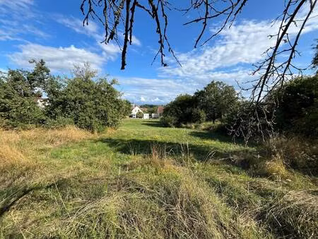 terrain constructible à vendre