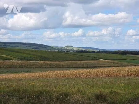 terrain à vendre