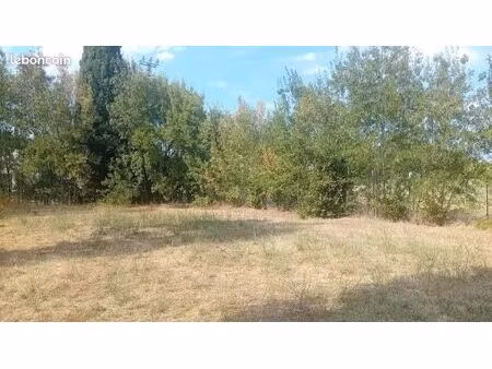 location terrain pour chevaux