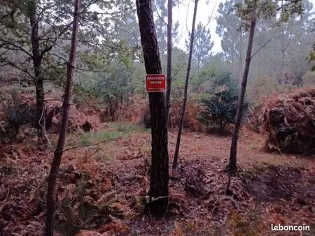 terrain forestier bassin d’arcachon