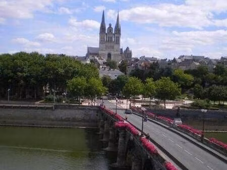 ligéis