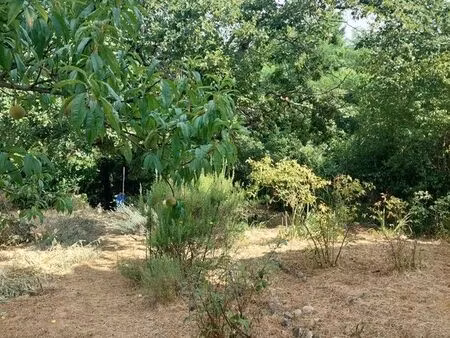 maison 69 m² montesquieu-volvestre