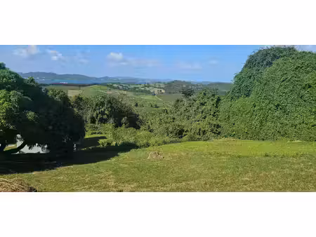 terrain à vendre