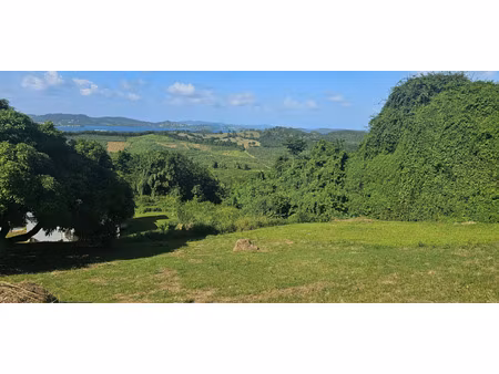 terrain à vendre