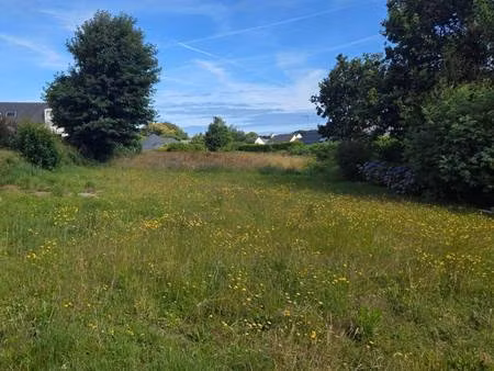 triskel immobilier