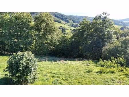 terrain constructible viabilisé à vendre