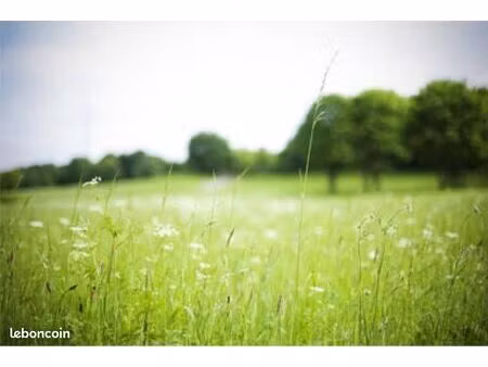 recherche terrain agricole