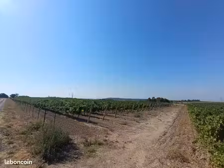 terrain 34465 m² montady