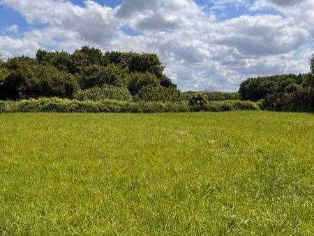 terrain constructible viabilisé à vendre