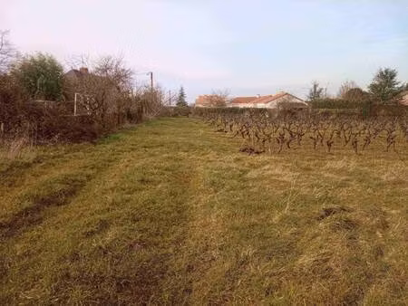 terrain constructible viabilisé à vendre