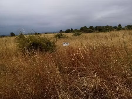 terrain agricole