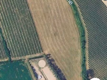 terrain agricole