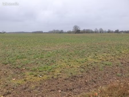 terrain 500 m² sadirac