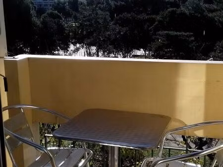 studio lumineux vue sur parc avec balcon et wifi