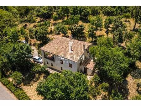 palatium immobilier