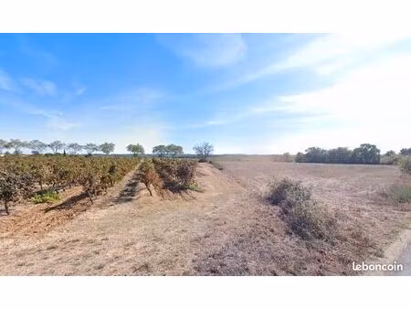 terrain 370 m² alignan du vent
