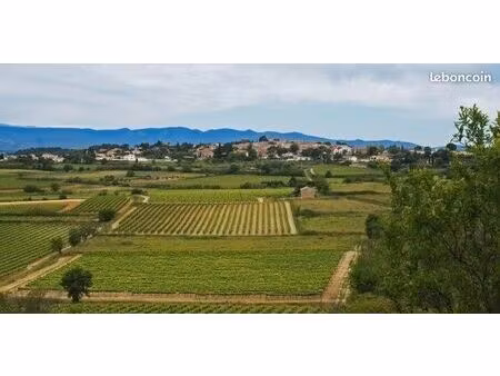 terrain 246 m² pailhes