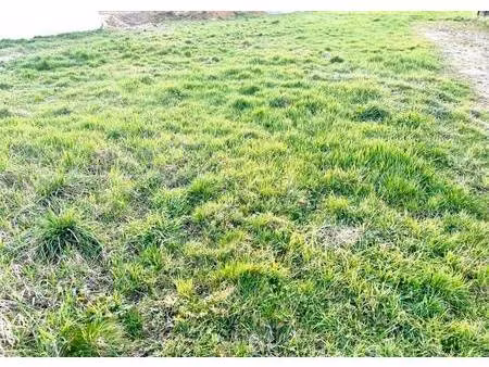 terrain constructible viabilisé à vendre