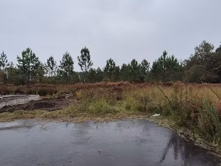 terrain à bâtir de 800 m² à parentis-en-born (40)