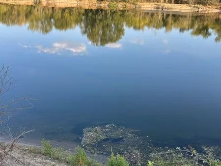 coup de pêche en bord de loire