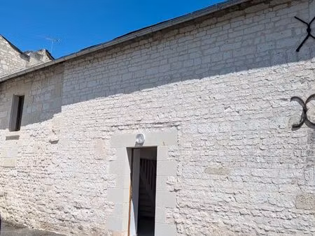 appartement 10 minute de chinon