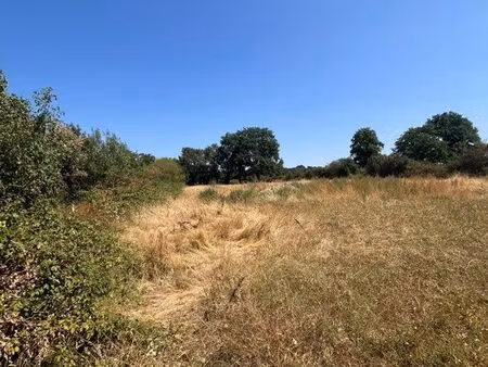 terrain à louer