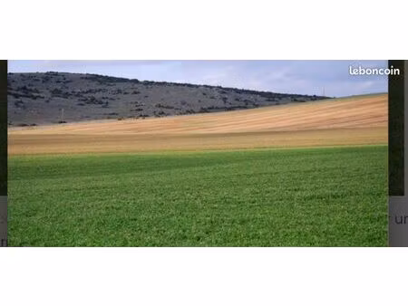 terrain 1500m2