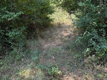 terrain de loisirs