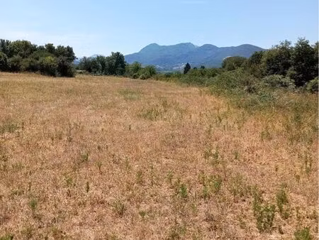 terrain agricole 20 000 m² (2 hectares)