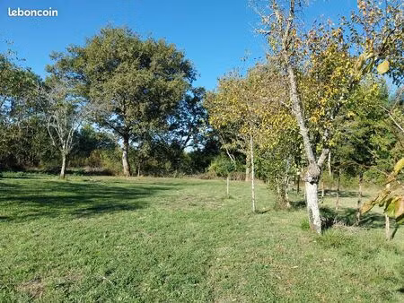 terrain constructible