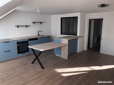 bel appartement rénové centre ville