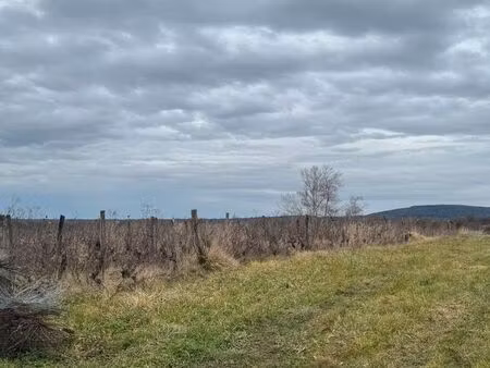 location terrains aoc côte du jura