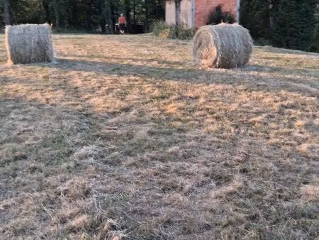 terrain 38oo m2 avec grangette à restaurer